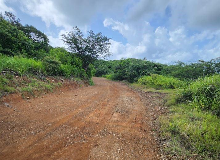BARRIO FRAILES - Land