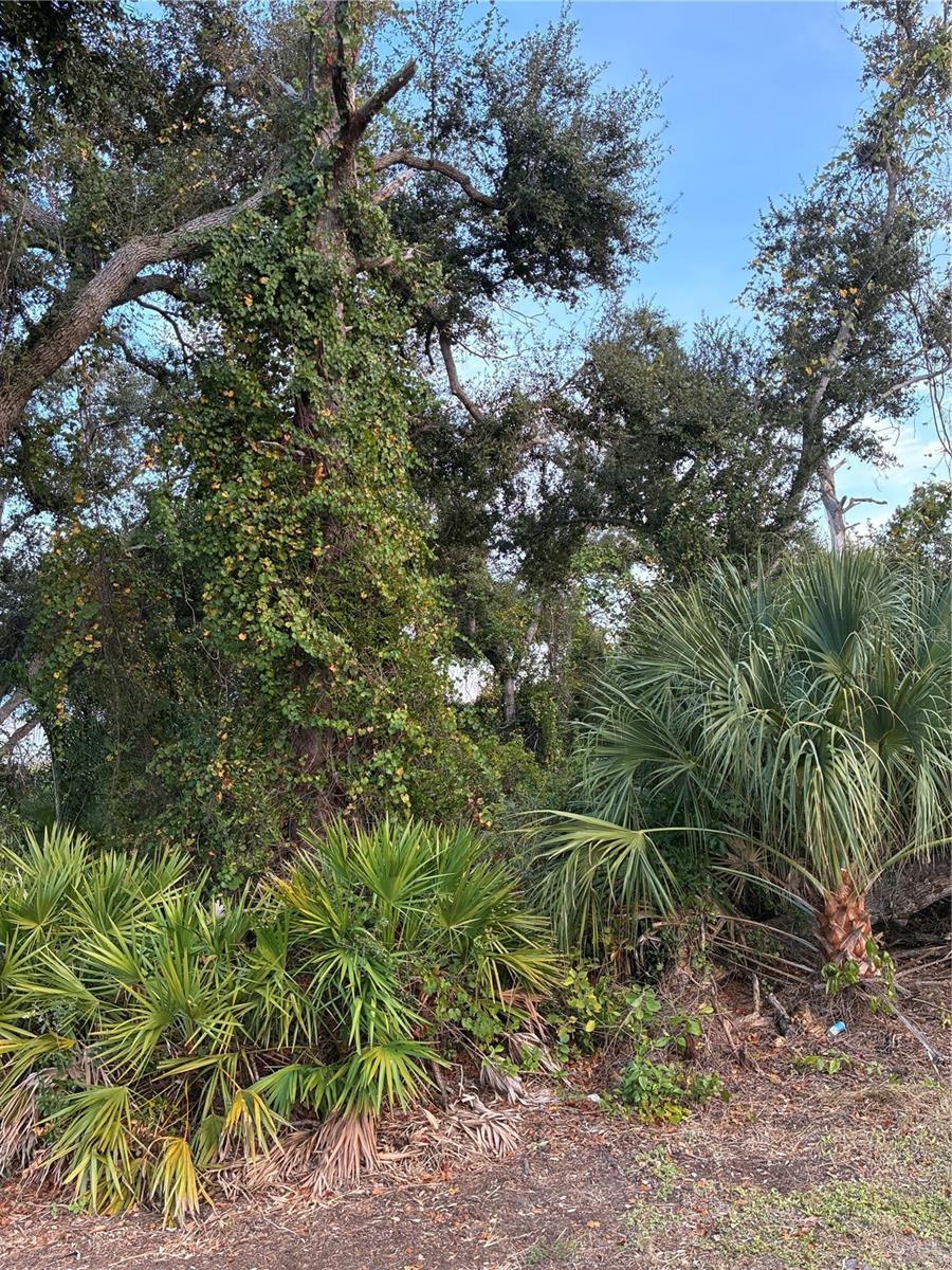 Buildable, good elevated lot in an area of new homes, close to everything. Not in a flood zone, not in a Scrub Jay area.
Ready to build your dream home.