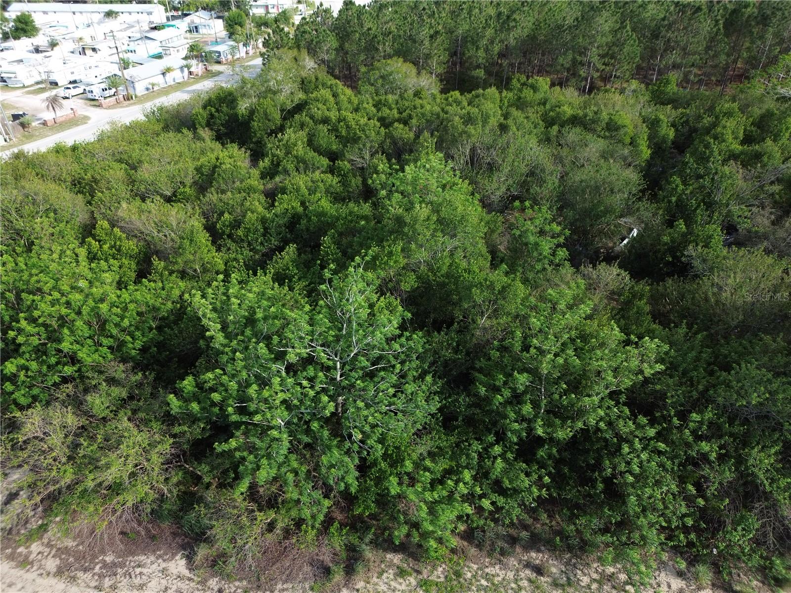 4.5-acre parcel zoned AU, offering a private, wooded setting with pine trees throughout. This property provides an excellent opportunity for a homesite or rural lifestyle use, with plenty of space for a residence, outbuildings, or recreational use. Conveniently located approximately 6 minutes from Publix and Walmart and just 4 minutes from downtown Sebring, combining privacy with easy access to shopping, dining, and everyday amenities. Potential for additional residential use or future development, subject to county approval.