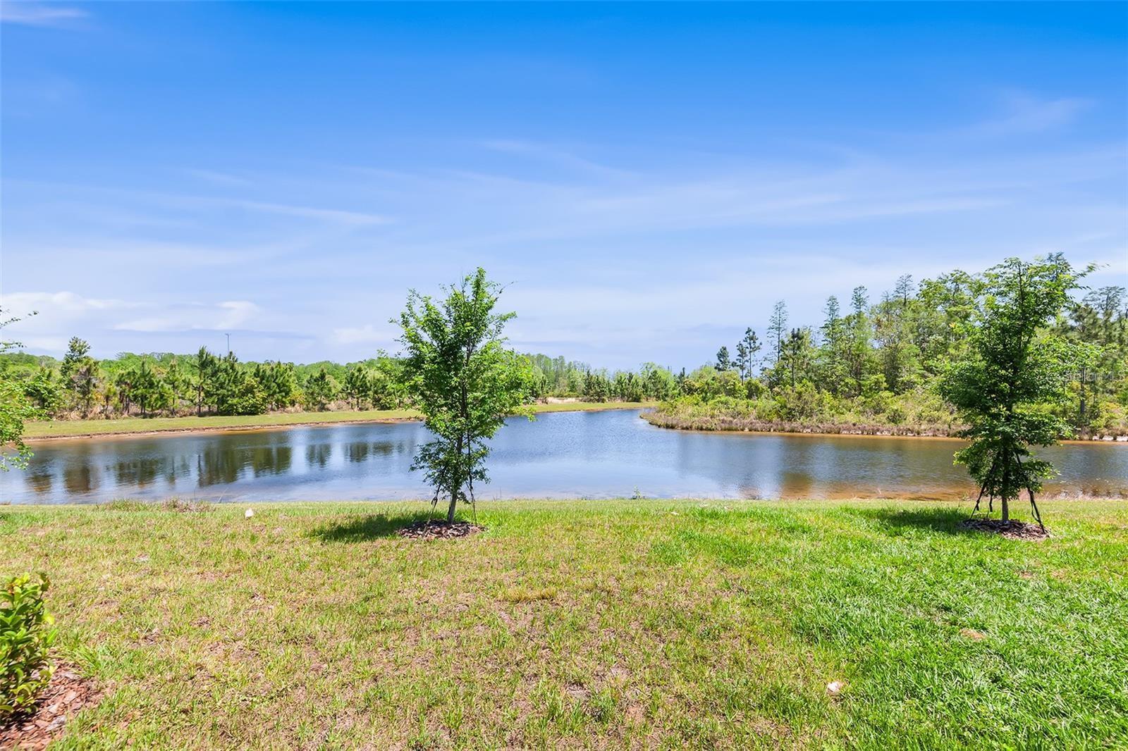 ANGELINE - Residential Lease