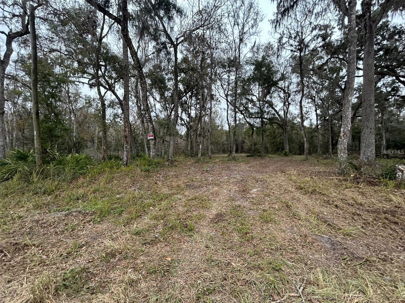 MEADOW WOOD ACRES 17 - Land