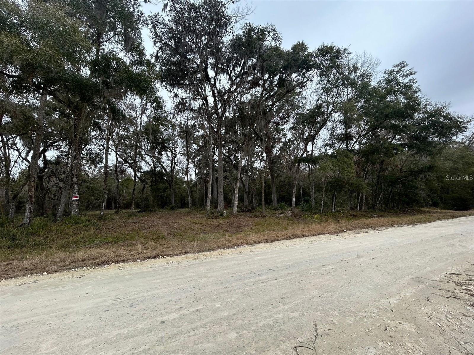 MEADOW WOOD ACRES 17 - Land