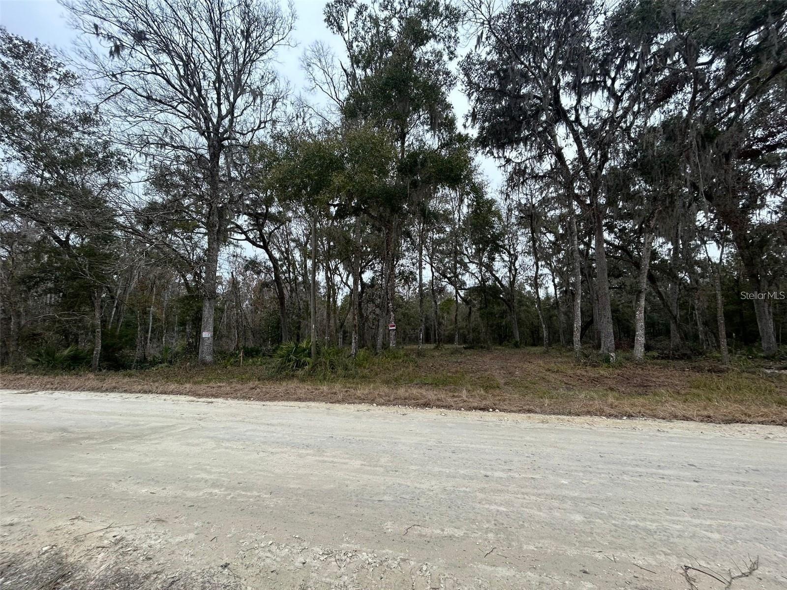 MEADOW WOOD ACRES 17 - Land
