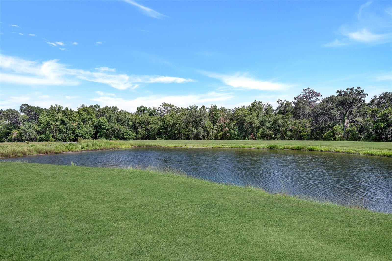 FISHHAWK RANCH TWNHMS PH - Residential