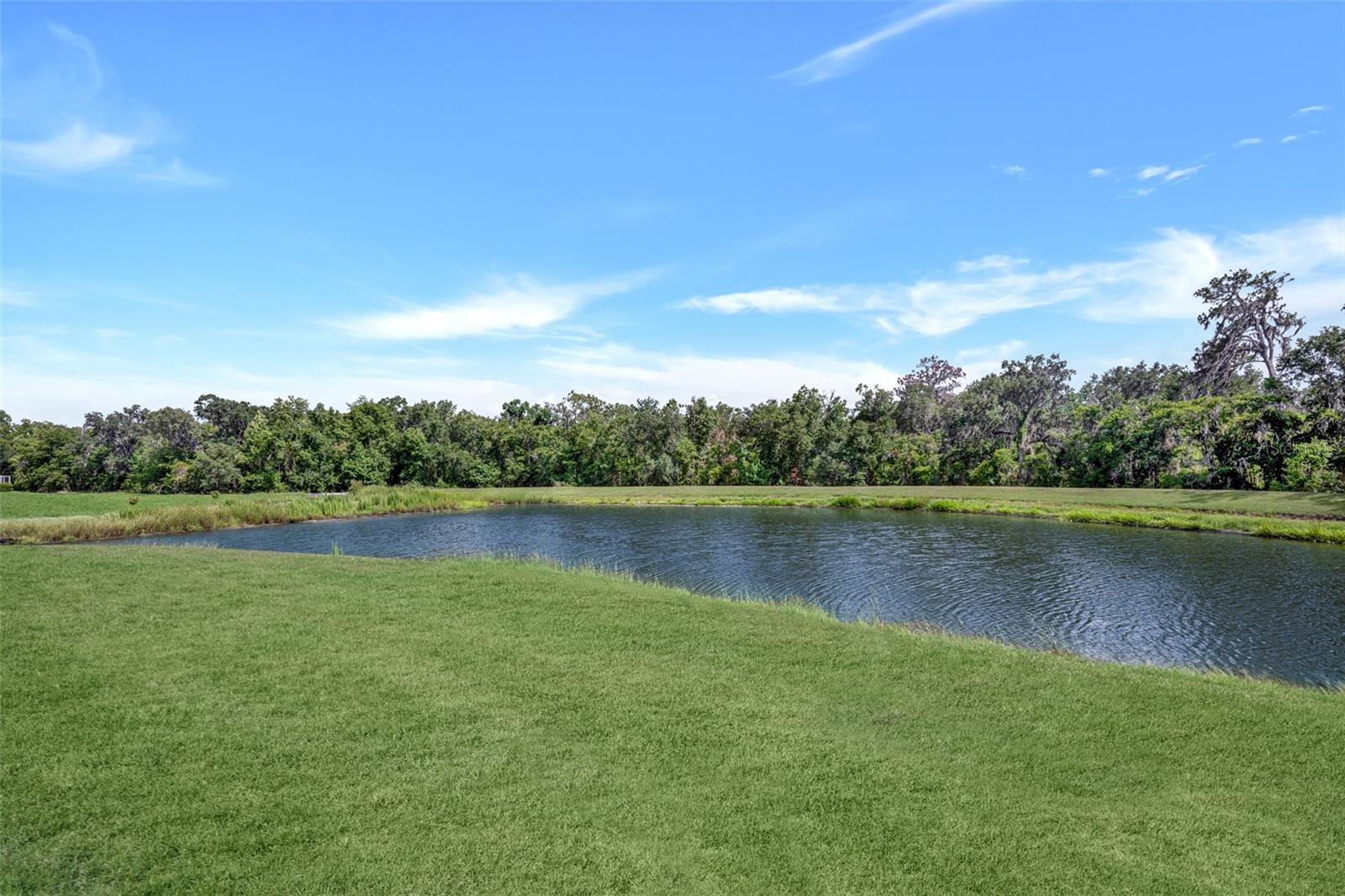 FISHHAWK RANCH TWNHMS PH - Residential