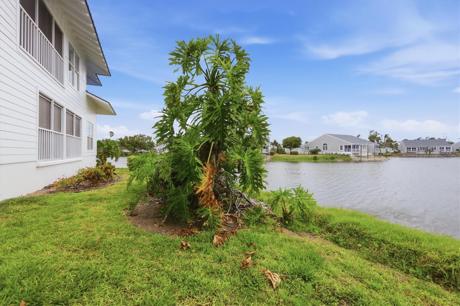 SHORELINE TERRACES VI AT PERICO BAY 1&2 - Residential