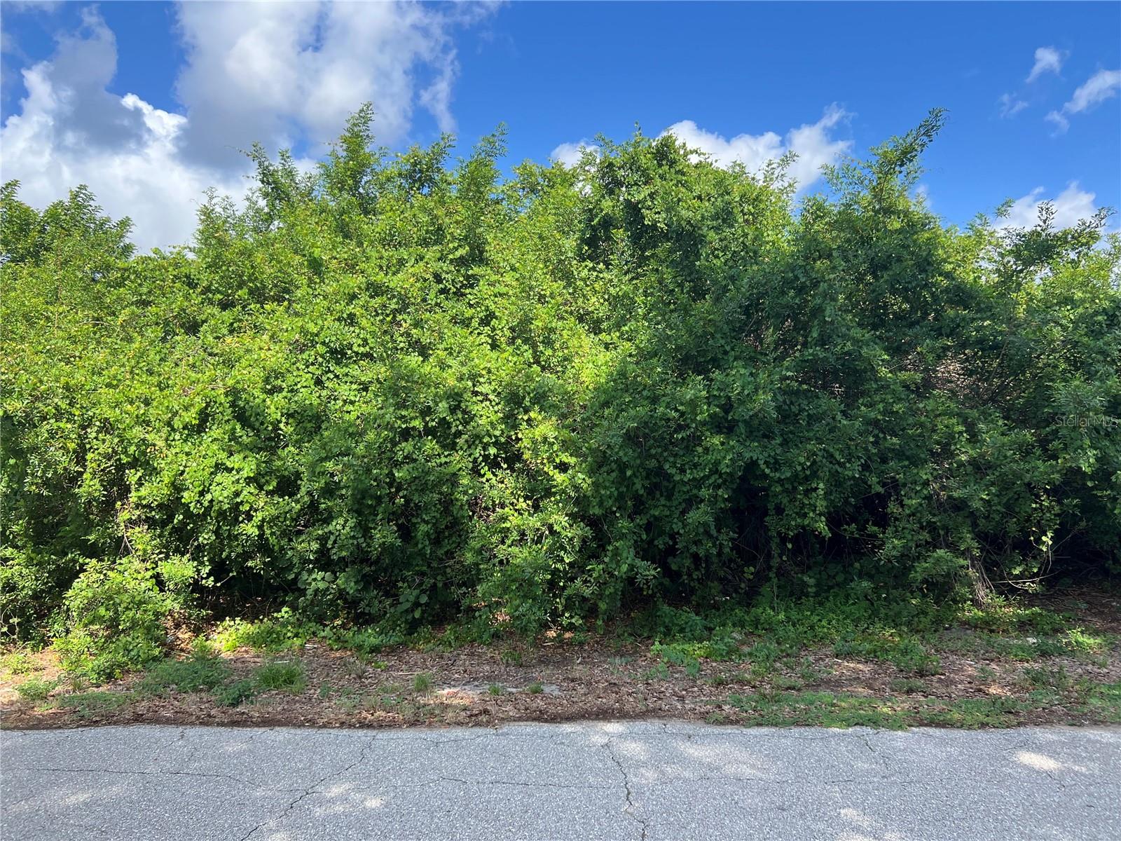 PORT CHARLOTTE SEC 007 - Land