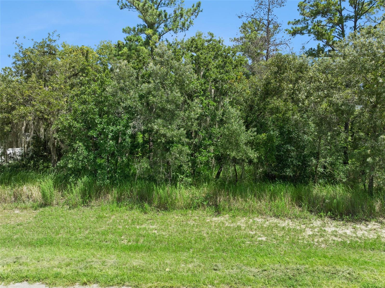 MARION OAKS UN 12 - Land