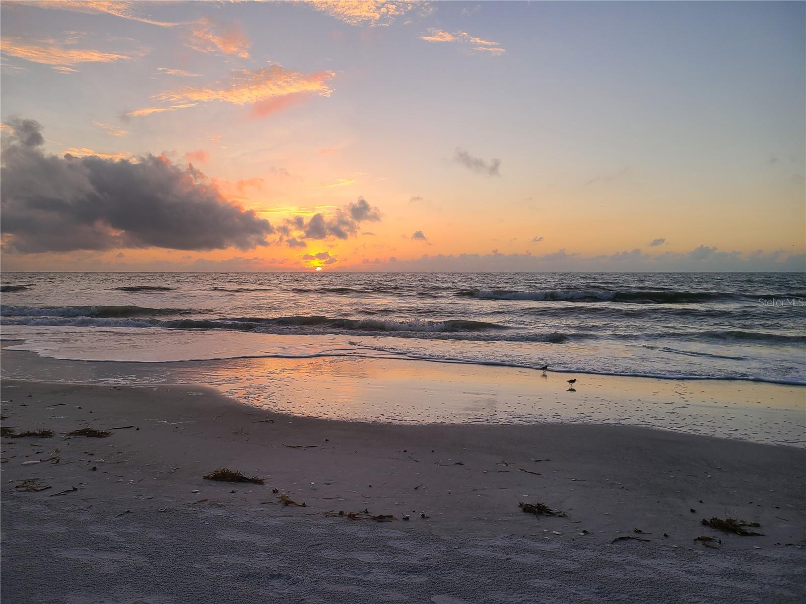 ISLE OF SAND KEY 1 CONDO - Residential
