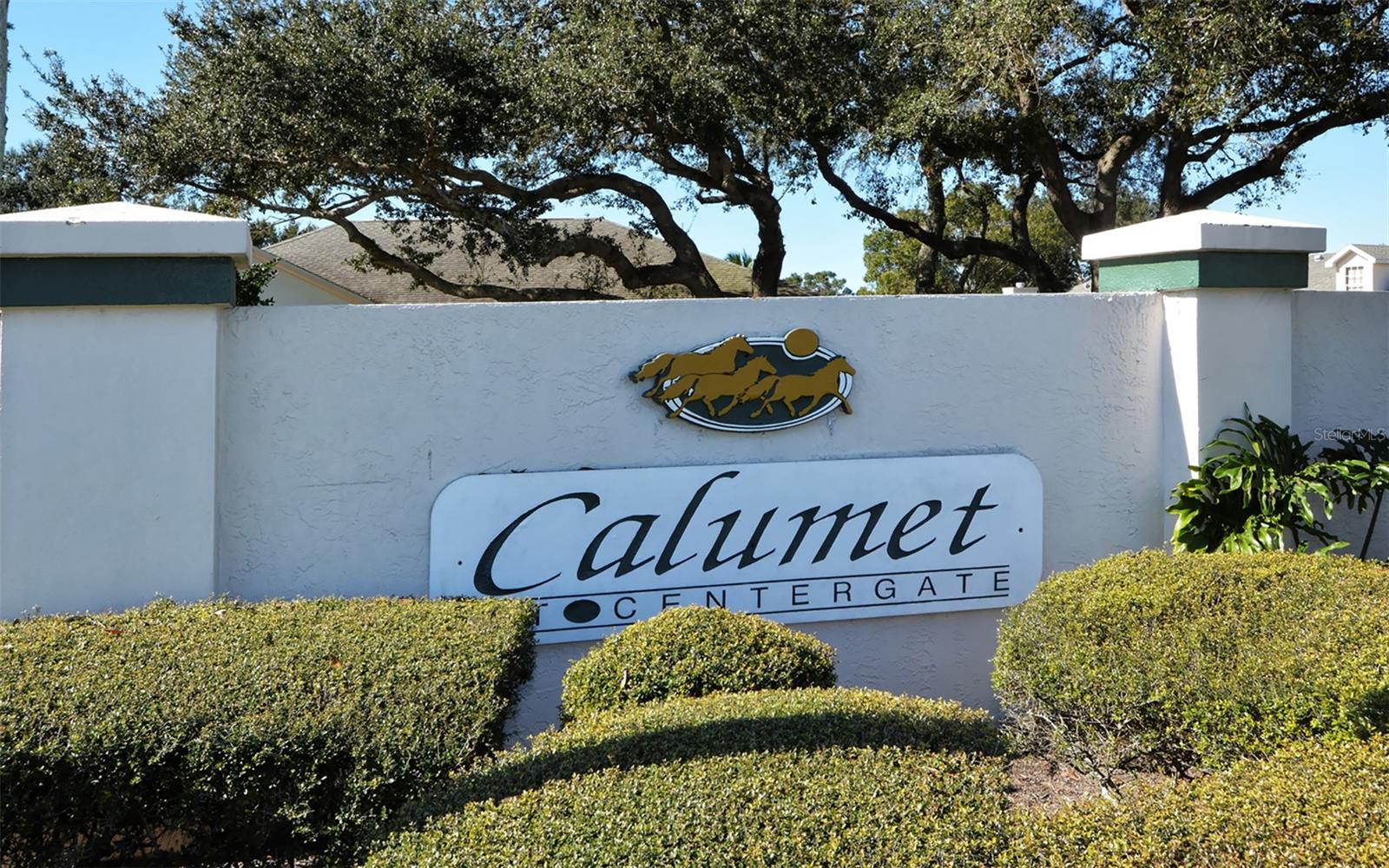 CALUMET AT CENTERGATE 1 - Residential