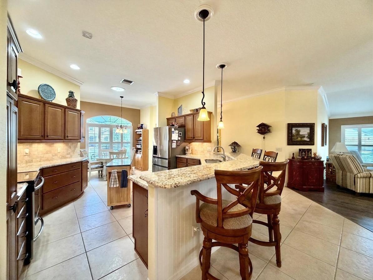 VILLAGES OF SUMTER - Residential