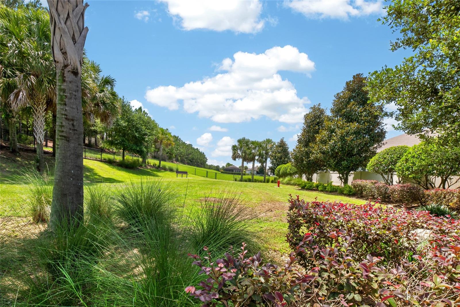 HIGHLAND RANCH ESPLANADE PH 2 - Residential