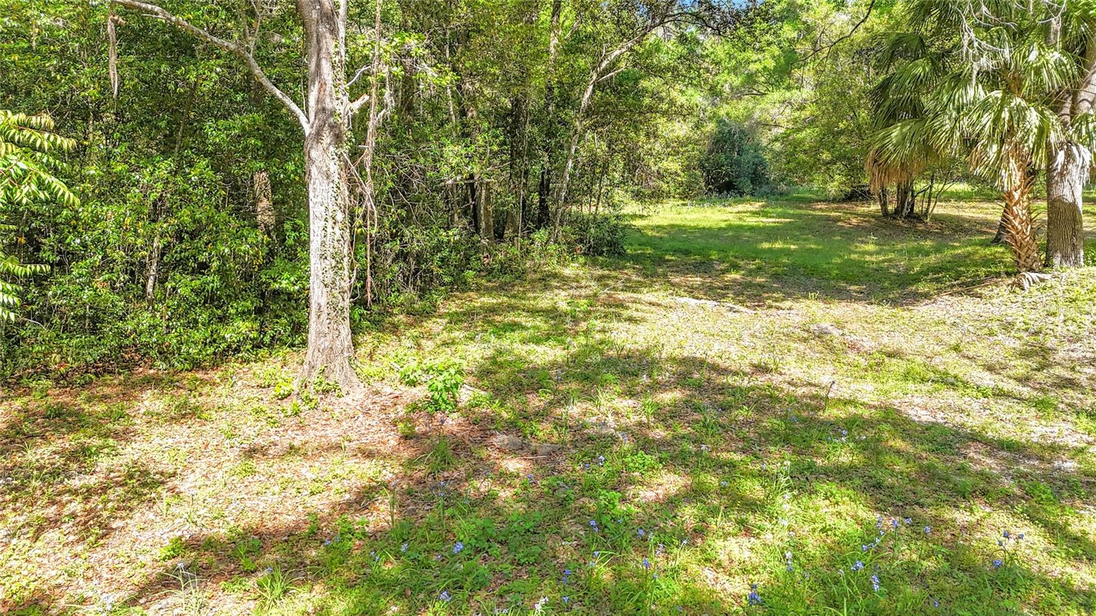 NOT IN SUBDIVISION - Land
