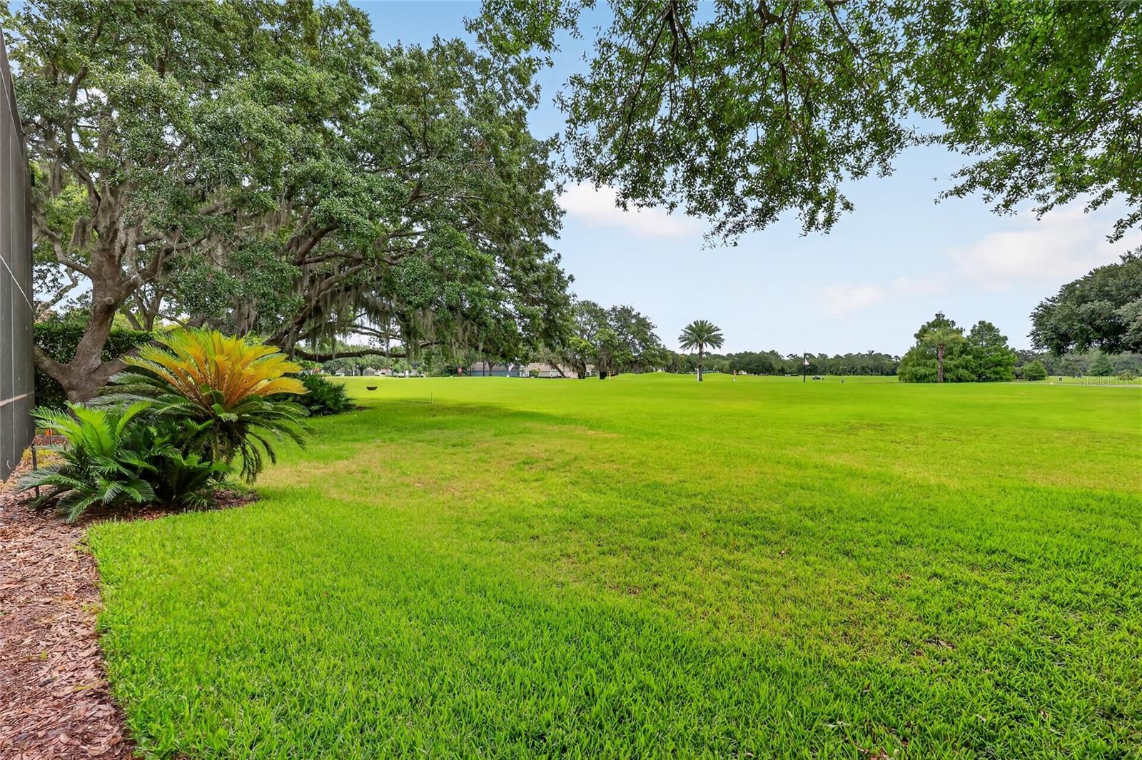 COUNTRY CLUB MOUNT DOR - Residential