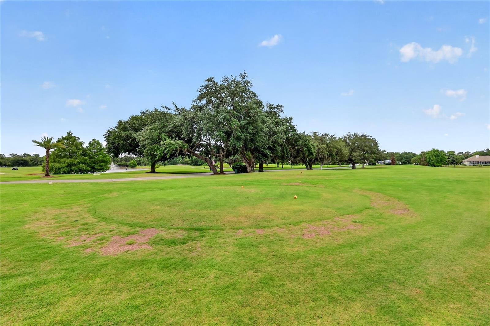 COUNTRY CLUB MOUNT DOR - Residential