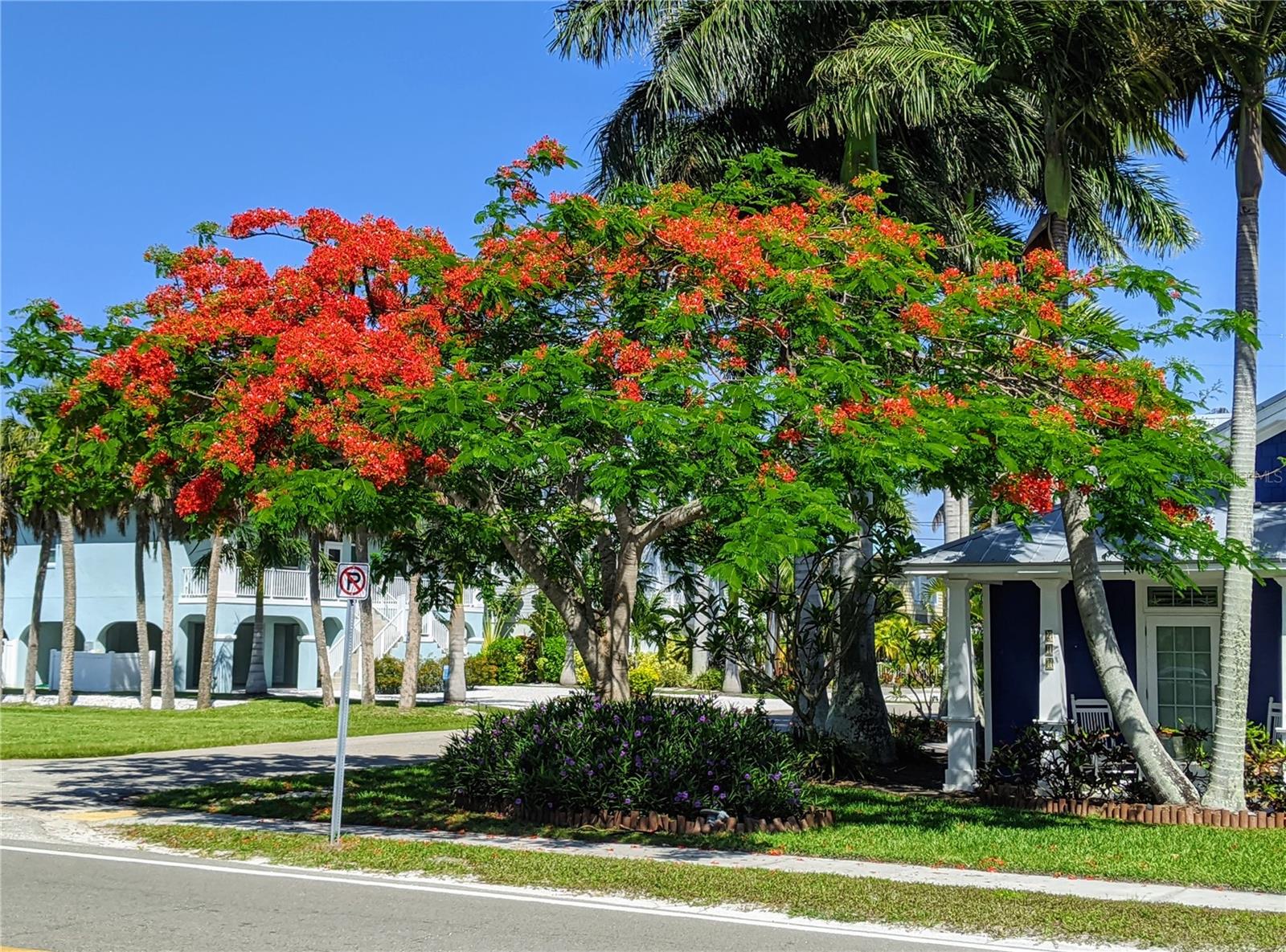 BAYSHORE ON THE LAKE APTS II SEC 3 - Residential