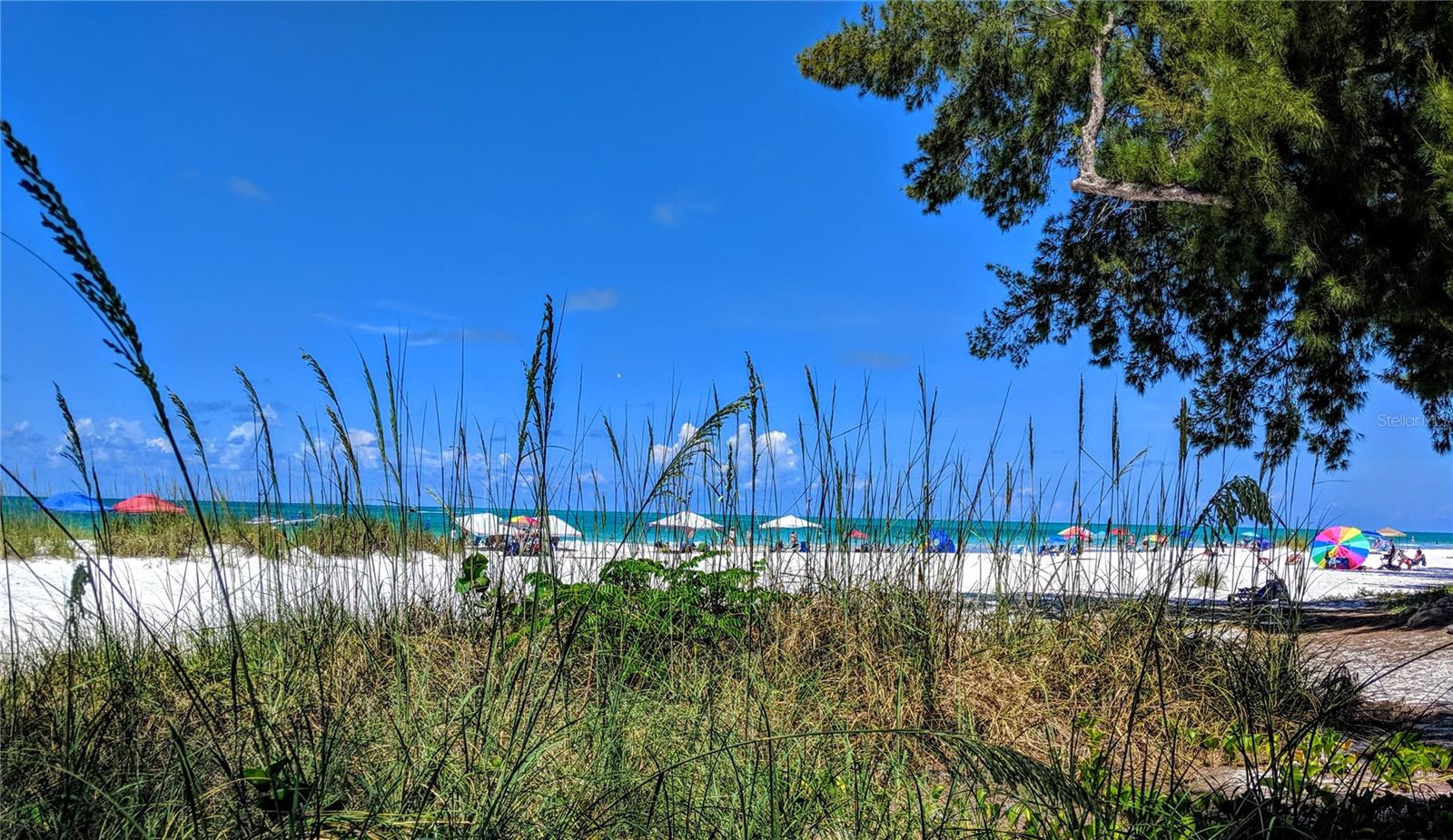 BAYSHORE ON THE LAKE APTS II SEC 3 - Residential