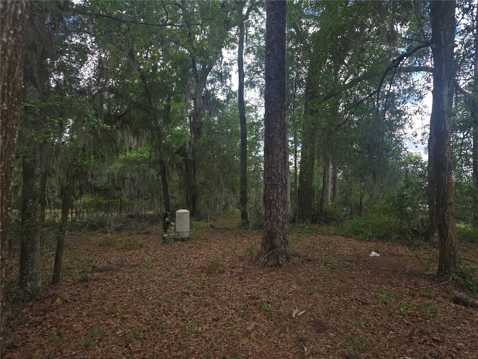 LAKE JOHNSON ESTATES - Residential