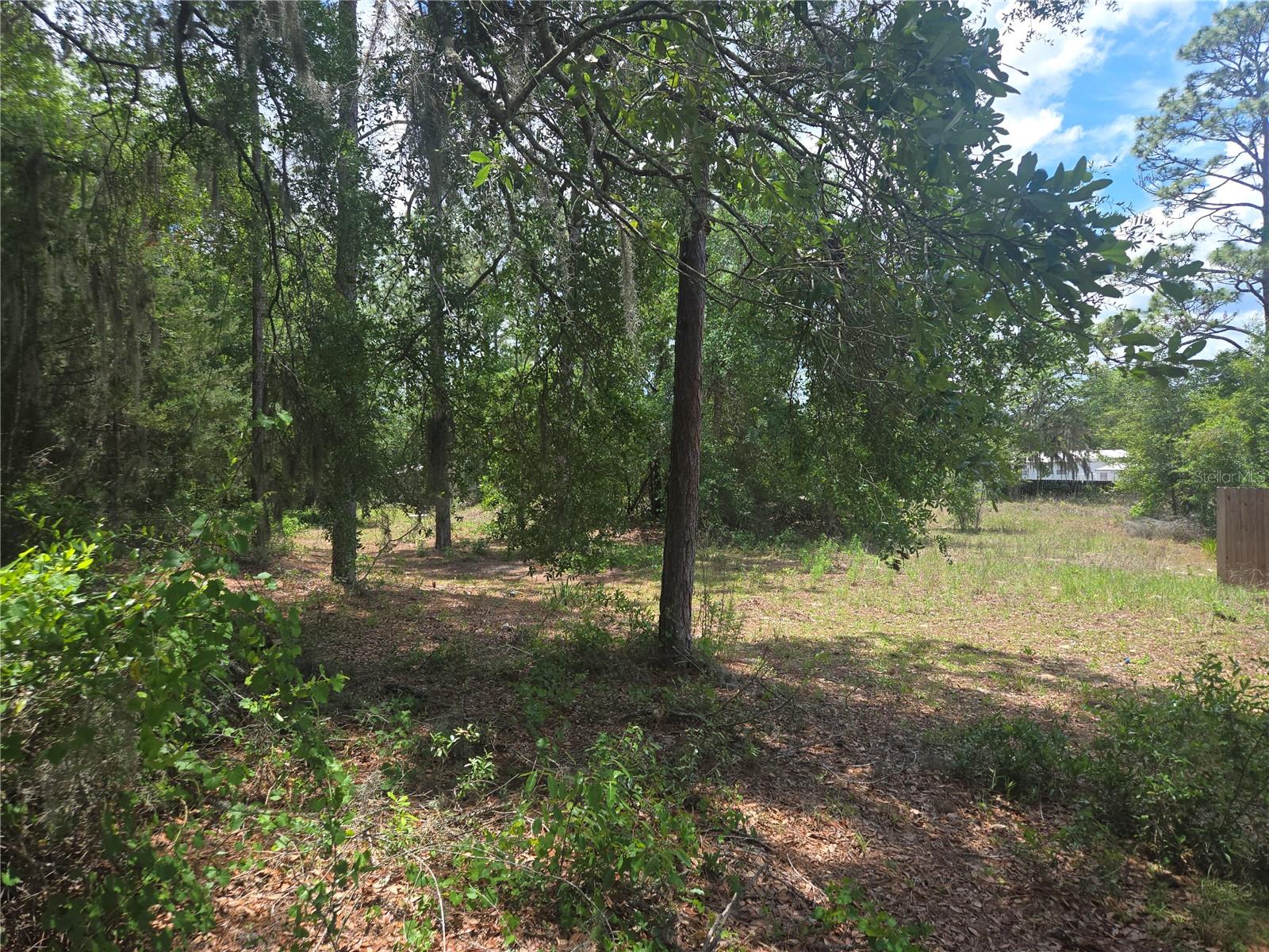 LAKE JOHNSON ESTATES - Residential