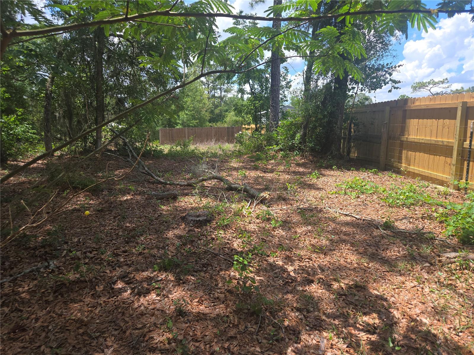 LAKE JOHNSON ESTATES - Residential