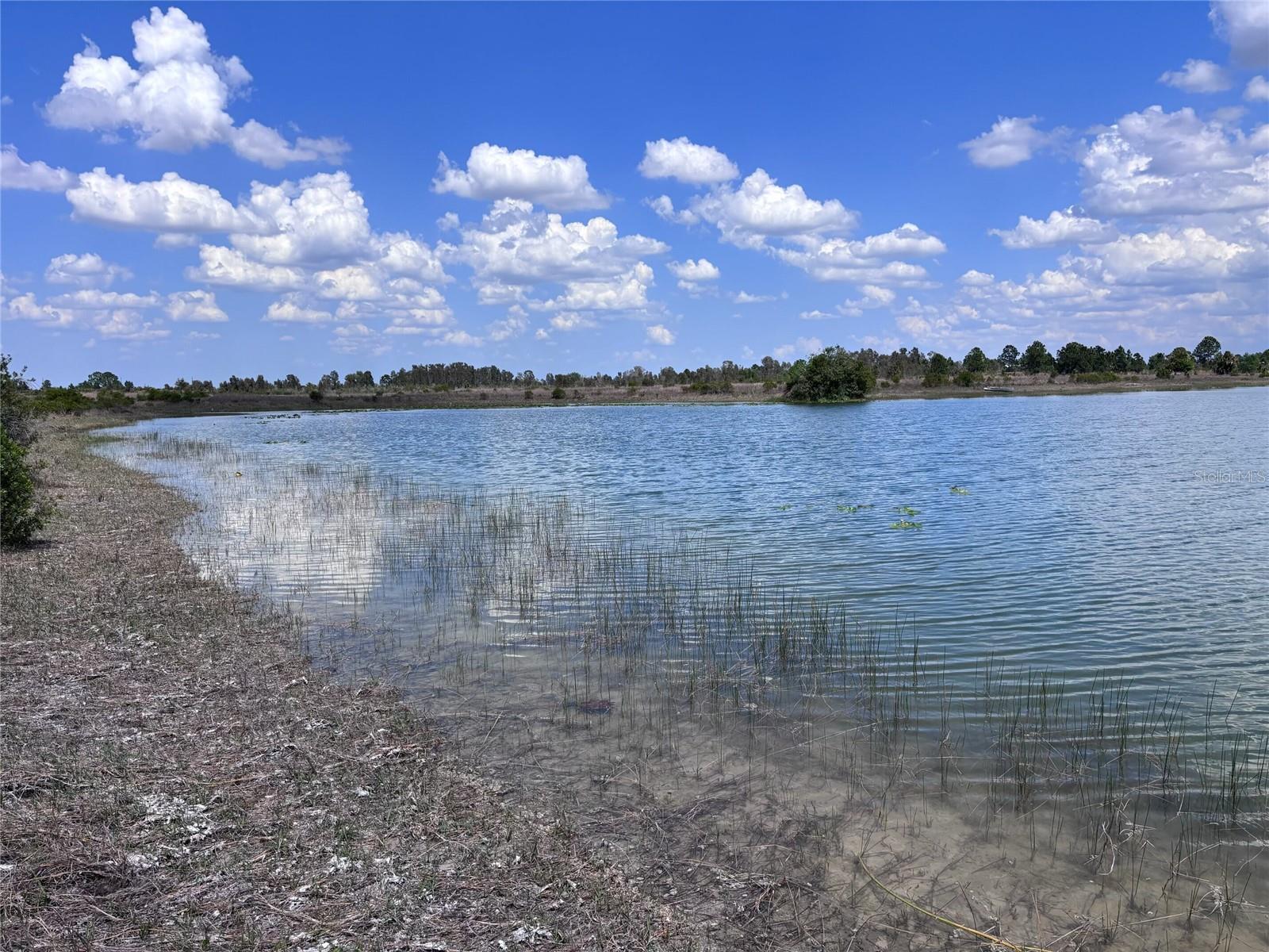 To step onto The Lake on Big Prairie is to walk through the very soul of Florida’s history. This isn't just a 30-acre estate; it is a timeless landscape where the echoes of the first Floridians meet the legacy of Spanish Conquistadors. From the ancient hunting grounds of the Calusa and Tequesta to the 19th-century "open prairie" where legendary cattle barons like Bones Mizell drove their herds across a fenceless horizon, this property is a living canvas. It is the same rugged, romantic wilderness that inspired Frederic Remington to immortalize the Florida “Cracker Cowboy” in his world-renowned paintings.
Spanning approximately 1,350 by 968 feet, the property is defined by its magnificent water features. A shimmering 7.5-acre central lake of 27 feet in depth is complemented by three smaller ponds, creating a sanctuary for local wildlife. With over 1,100 feet of lake frontage and an elevation of 60 feet, the terrain offers a high, dry, and picturesque foundation for your vision. Sowed with Argentine Bahia, the land is perfectly suited for ranging cattle, equestrian pursuits, or simply preserving the natural beauty of the Florida interior.
The true value of this acreage lies in its exceptionally liberal Agriculture (AG) zoning within Charlotte County. This designation is a rare find, offering a level of freedom seldom seen in modern real estate.  Build up to three distinct homesites or modular homes—ideal for a family compound or a legacy estate.  Construct pole barns, workshops, or agricultural structures without the standard permitting hurdles, thanks to the AG status.  Whether you envision a horse stable, a fish hatchery (lake stocked with hybrid bluegill, talapia and bass), a boutique muscadine vineyard, or a private nature preserve, the Charlotte Co. Municode Sec. 3-9-30, Agriculture guidelines provide for a vast array of uses including silviculture and viticulture.
Located on SR 74, this parcel serves as a bridge between the tranquil interior and the vibrant Gulf Coast. While you are just a scenic drive from the boating world of Charlotte Harbor and the Gulf Islands, the fast routes of SR 29 and US 27 put the Atlantic coast—West Palm Beach, Ft. Lauderdale, and Miami—within easy reach. You will find yourself surrounded by the prestige of Florida’s great agricultural dynasties, including the Lykes, Alico, and Evans families, and buffered by state-protected preserves that ensure your privacy remains permanent.
As the sun sets over The Lake on Big Prairie, the sky transforms into a masterpiece of towering clouds and vivid colors that no city light can dim. Here, the nights are truly dark, revealing a universe of stars undisturbed by the bustle of SW Florida. This is more than a land purchase; it is an opportunity to own a middle-sized parcel in an area where such gems are rapidly disappearing.
Escape the noise and reclaim your peace on the prairie. Whether for investment, agriculture, or a private retreat, The Lake on Big Prairie is Florida as it was meant to be.