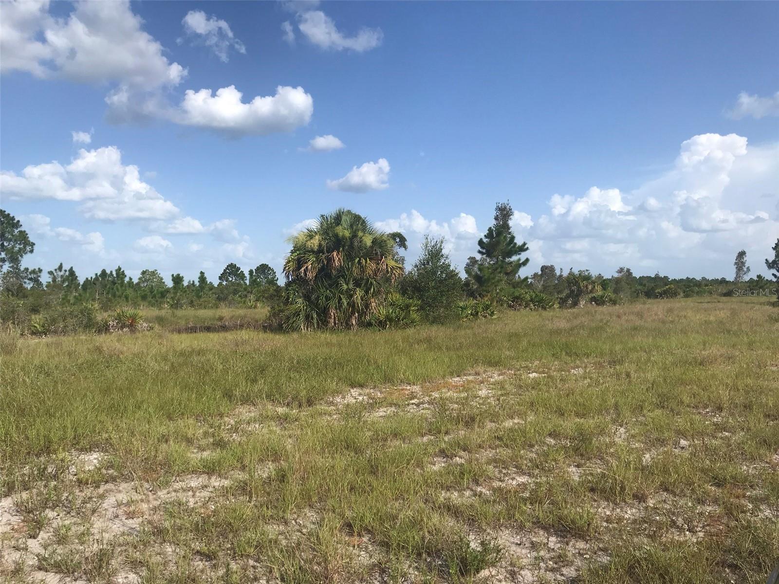 ACREAGE - Land