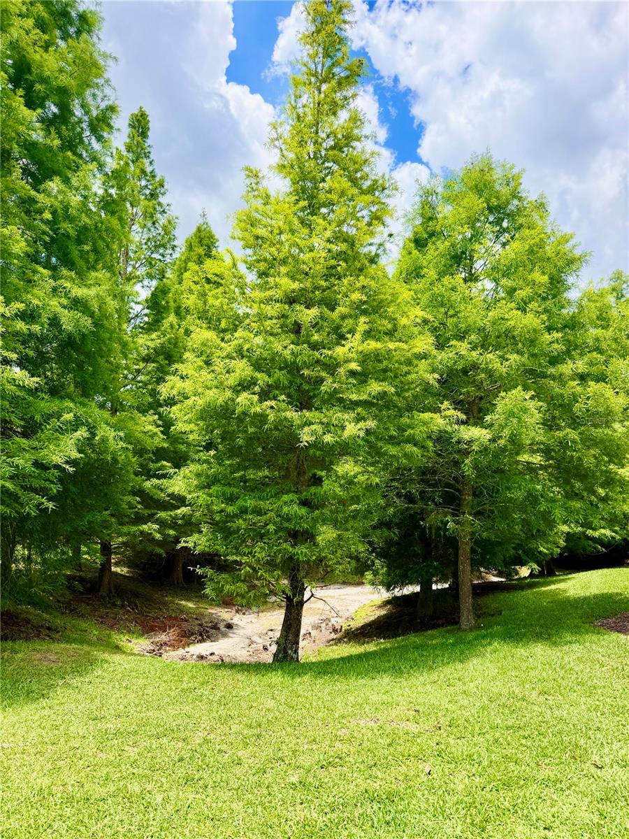 HIDDEN RIVER TOWNHOMES - Residential Lease