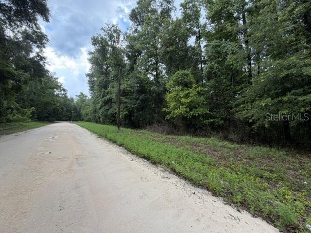 SUWANNEE OAK FOREST - Land