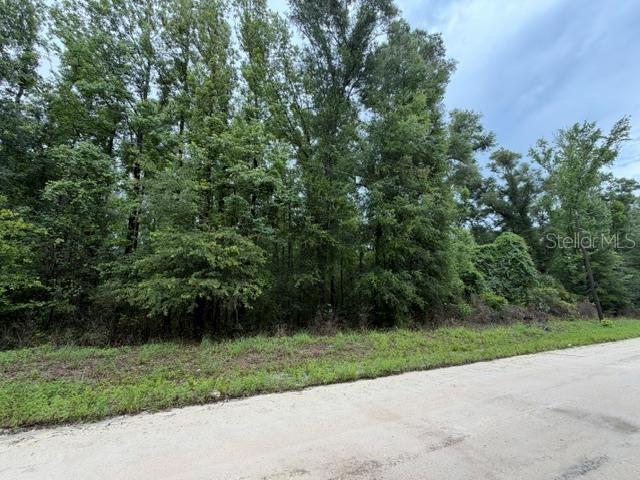 SUWANNEE OAK FOREST - Land