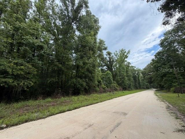 SUWANNEE OAK FOREST - Land