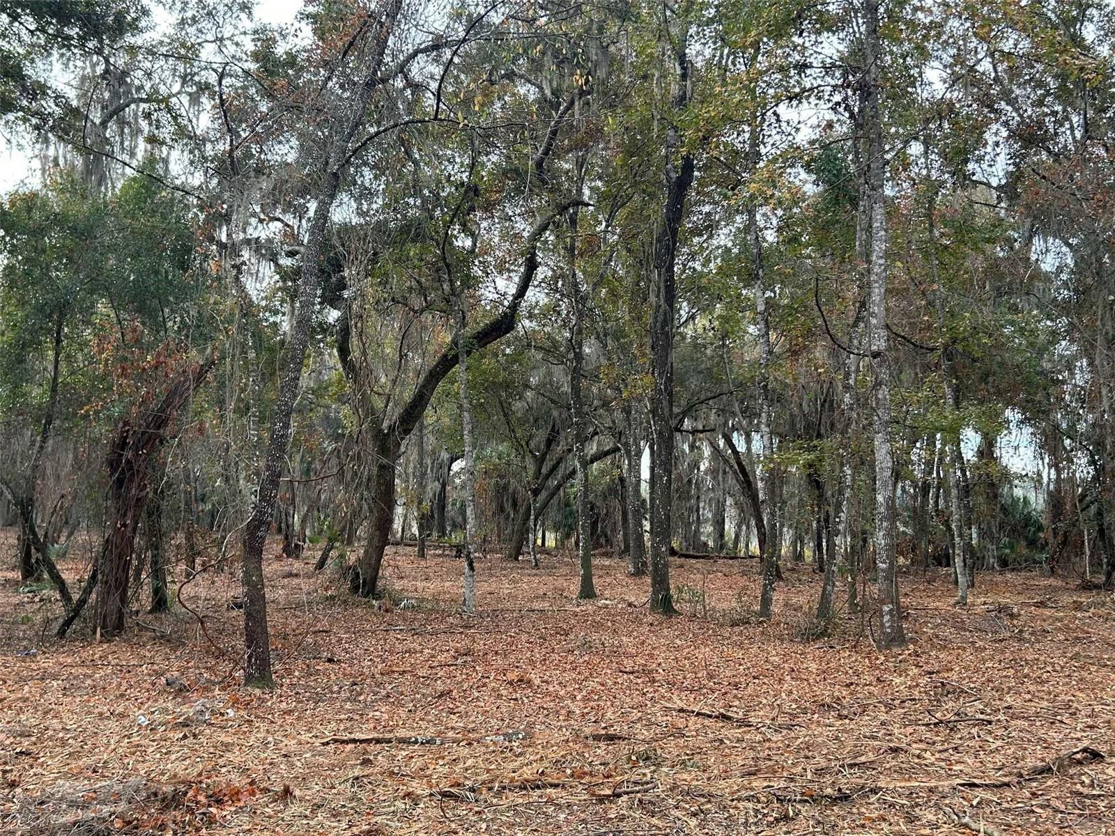 SEC 6 - Land