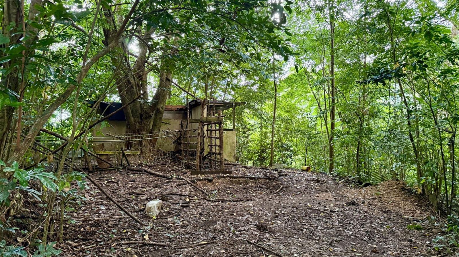 BO JAGUAS - Residential