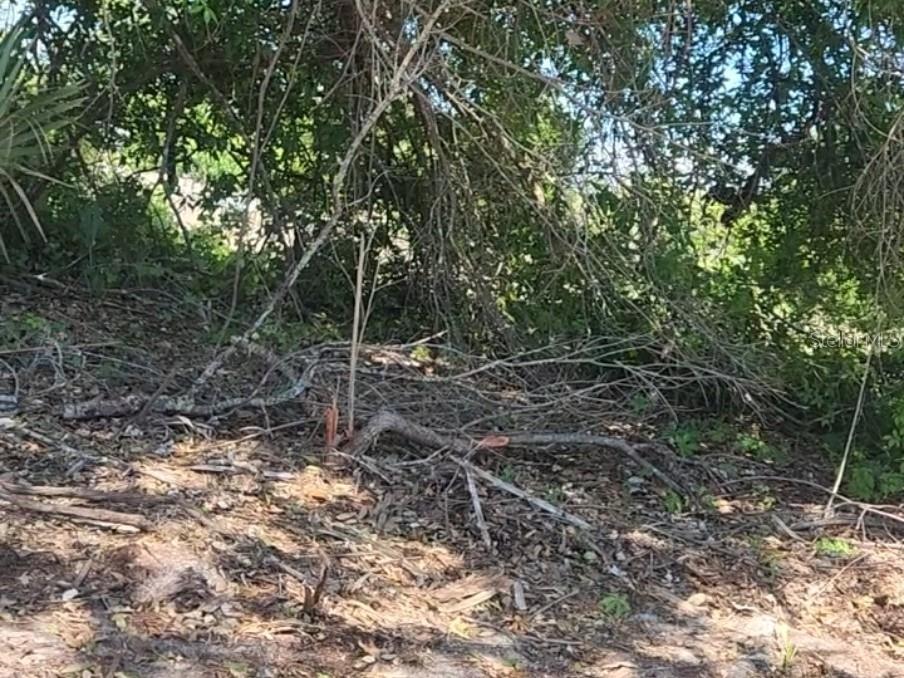 Opportunity to buy one or take a double lot! Recently subdivided along with the adjacent lot, both parcels are available for purchase—giving buyers the flexibility to acquire one or both, whether for a larger homesite, added privacy, or long-term investment strategy. This property sits directly across from a canal with access to the Myakka River, offering excellent potential for future waterfront living or investment. Situated in a rapidly growing residential area, this location is just minutes from restaurants, markets, and new businesses that reflect the community’s expanding cultural diversity. With strong development momentum and a highly accessible setting, this property represents an exceptional opportunity in one of Port Charlotte’s most active growth corridors.