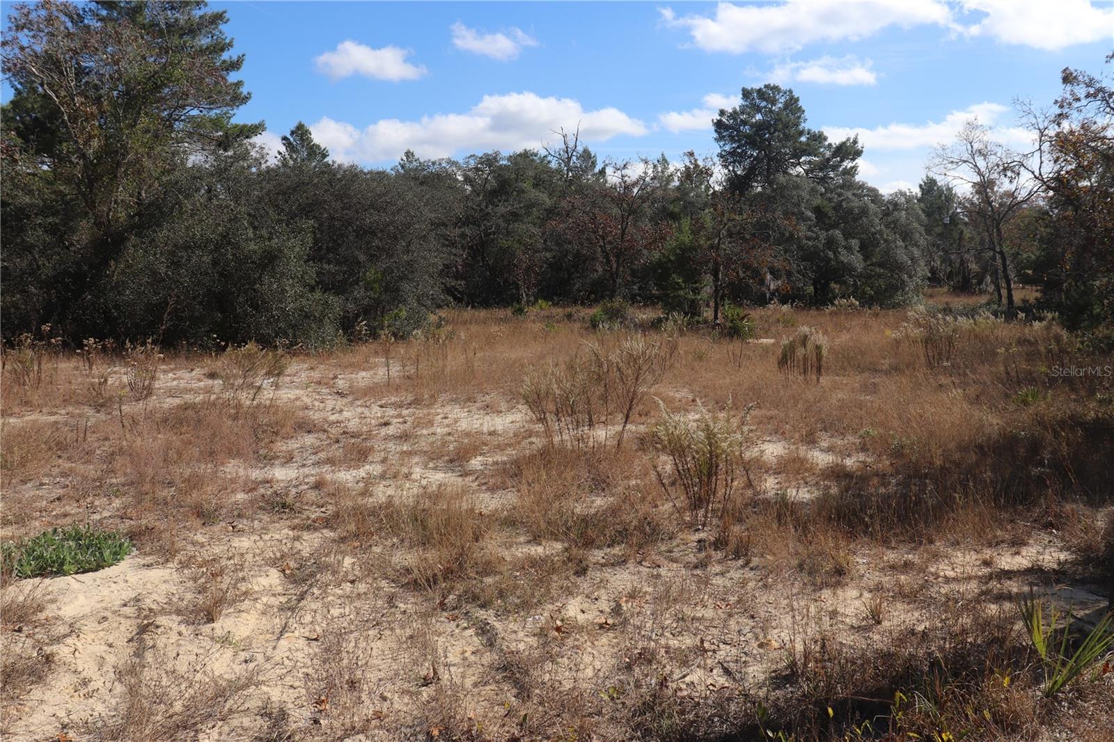A great 5 plus acres with a slight roll and mostly clear with a few trees.  Get the feeling of country living without being too far away from towns and schools.  Plenty of room for your larger pets and close enough to the Gulf and the numerous rives for tons of outdoor fun.  You may build or have a new manufactured home set in.  Feel free to call or just drive to lot.