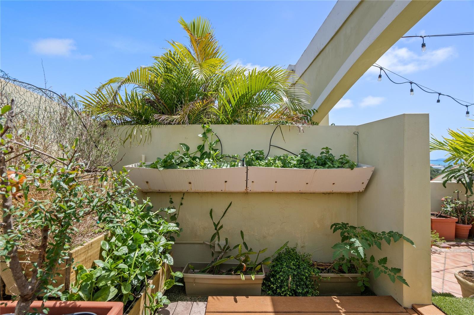 COND. CASTILLOS DEL MAR - Residential