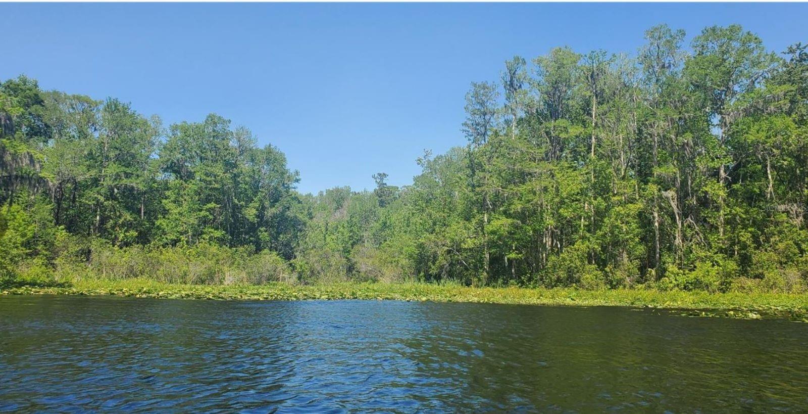 "WATERFRONT LAND ON THE WITHLACOOCHEE RIVER" "ZONED PUD" Entrepreneur's dream in Dunnellon, FL. Rare opportunity to own 9.63 +/- acres waterfront land along the scenic Withlacoochee River. This expansive property offers endless opportunities for building your designer home, creating a private sanctuary, or developing an investment opportunity. Located directly on the banks of the River that feeds out to the Gulf of Mexico. This River provides 76 miles of Designated Paddling Trail mapped for Lacoochee to Dunnellon.  There is some development along the banks, but in the river's southern location, much of the river flows through the State Forest and Conservation Areas. Quiet, scenic, sheltered, and breathtaking views is the type of kayaking we enjoy most.  There is direct access to the water. The natural beauty of Dunnellon surrounds this land, with mature trees, lush vegetation, and a serene ambiance that captures the essence of waterfront living. Wildlife is all around you, enthusiasts will appreciate the abundance of birdwatching and fishing opportunities right at their finger tips. For a showing, give me a call.