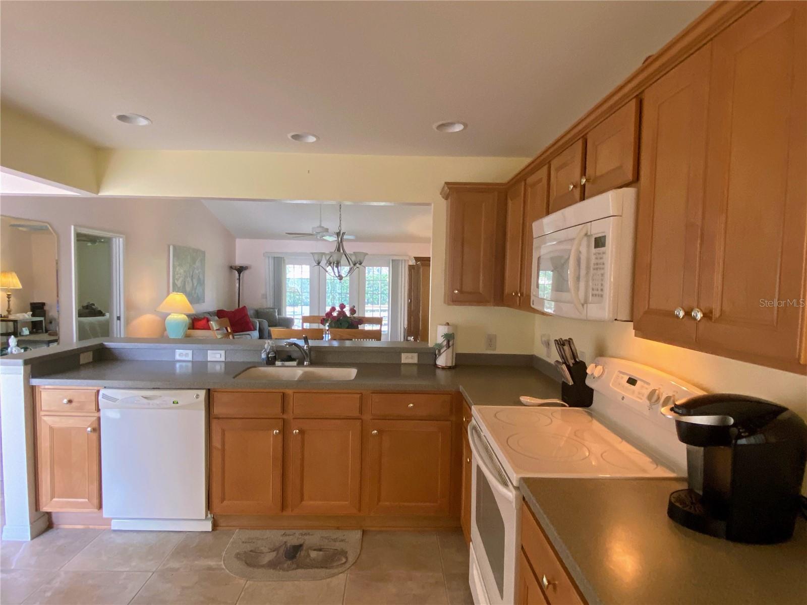 VILLAGES OF SUMTER - Residential