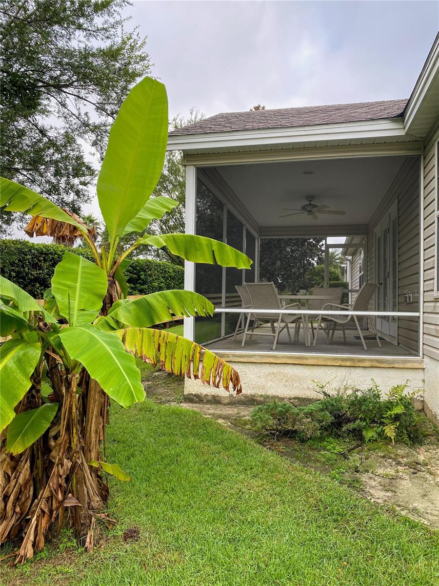 VILLAGES OF SUMTER - Residential