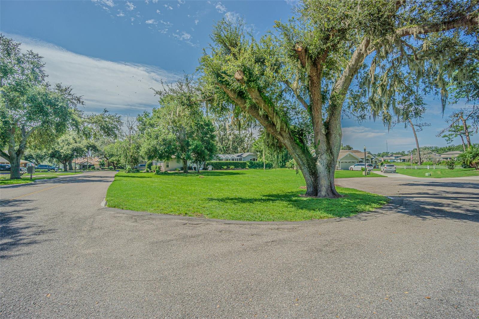 SILVER OAKS - Land
