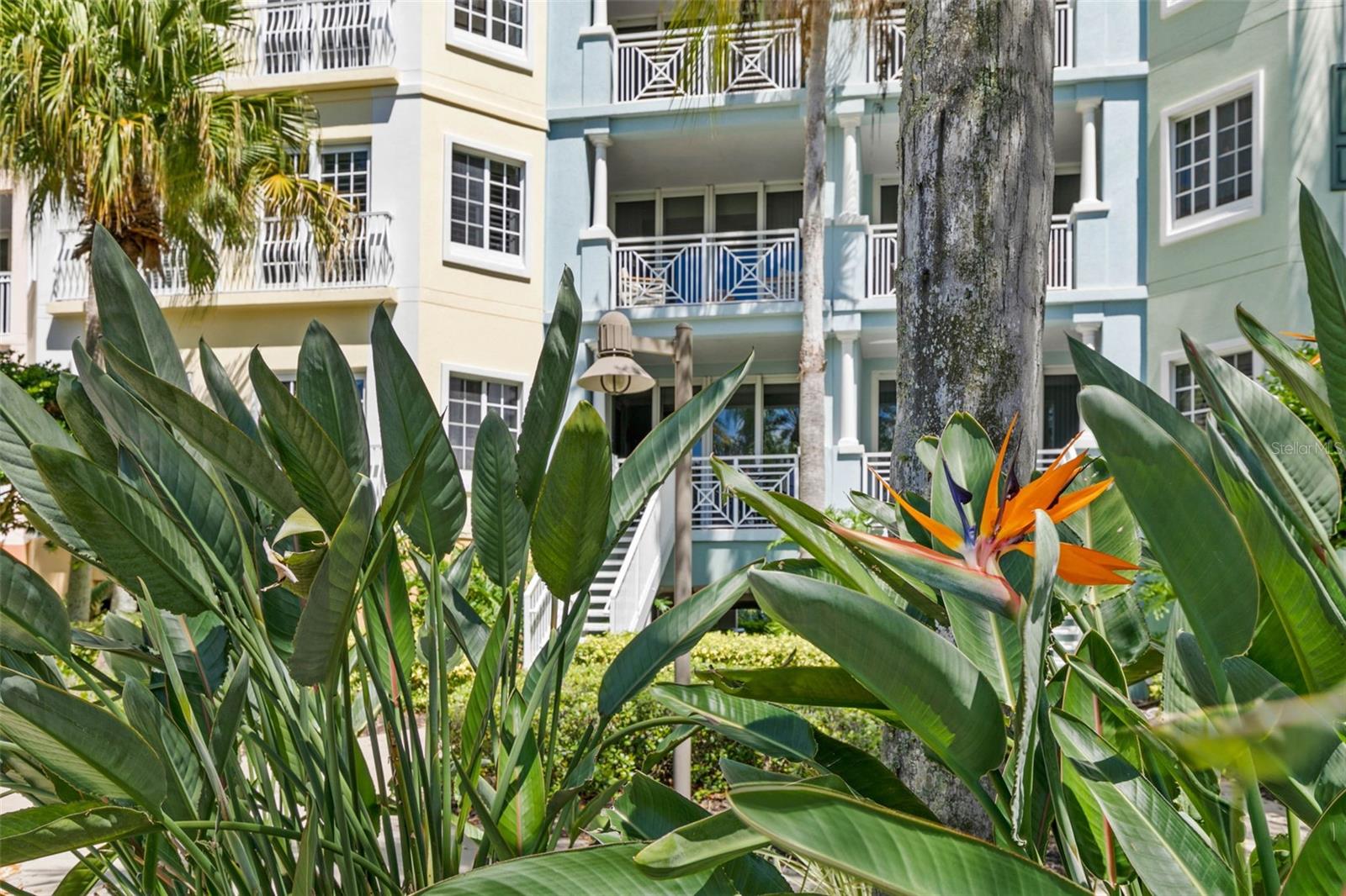 YACHT HARBOR VILLAGE - Residential