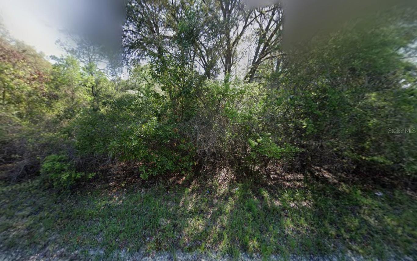 SUWANNEE RIVER HILLCREST - Land