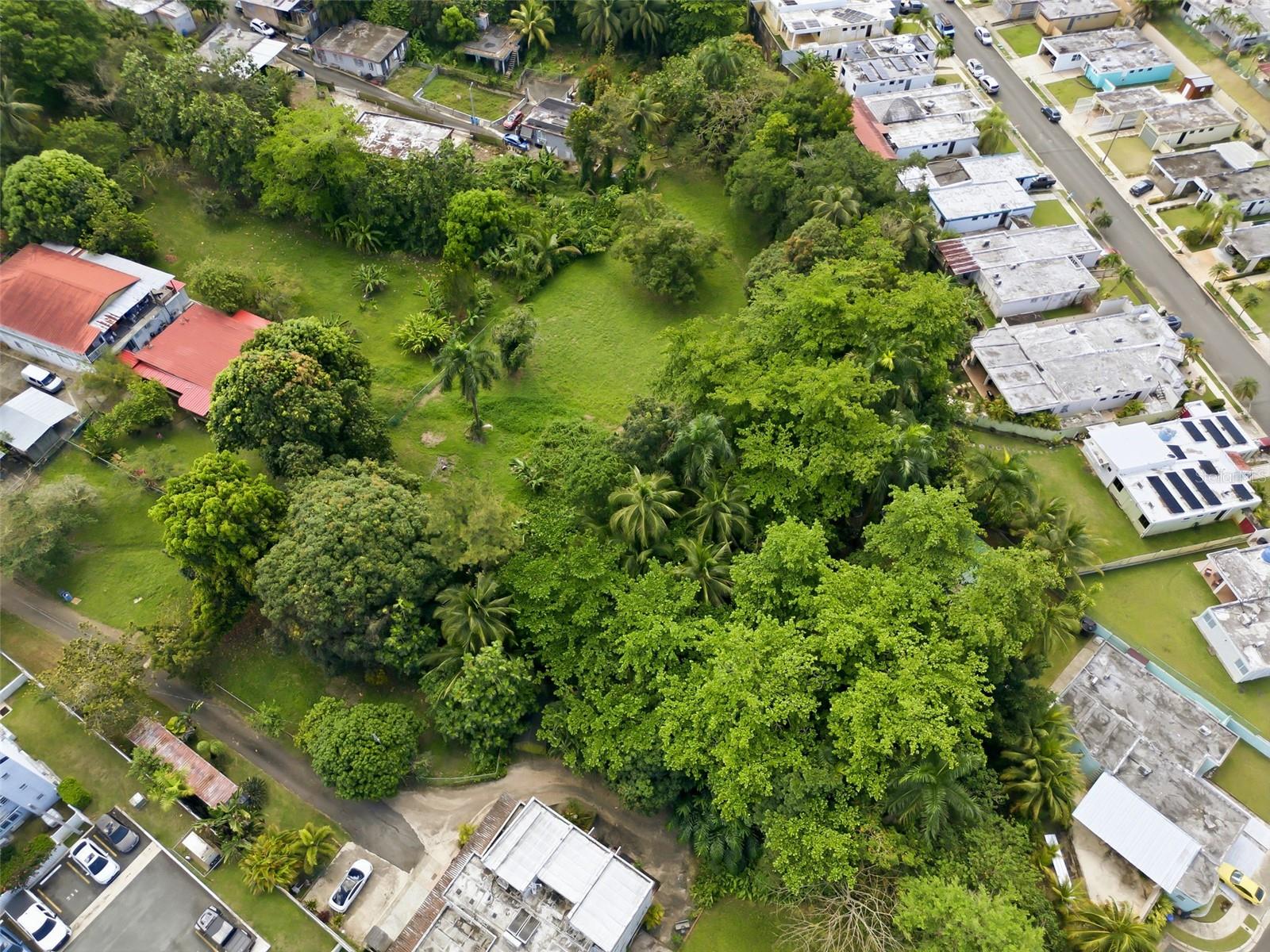 Se vende 1 cuerda de terreno en Bayamón – Sector Hato Tejas

Se ofrece en venta una (1) cuerda de terreno ubicada en la carretera 862, kilómetro 1.0, en el sector Hato Tejas de Bayamón. La propiedad cuenta con topografía completamente plana, ideal para desarrollo residencial o agrícola.

El terreno colinda en su lado derecho con una quebrada, brindando un entorno natural y agradable. Además, cuenta con árboles frutales y excelente ubicación, a corta distancia de la carretera número 2, facilitando el acceso a áreas comerciales y principales vías.

Una excelente oportunidad para inversión o desarrollo en una zona tranquila y accesible.

?? Para más información o coordinar una cita, favor comunicarse con Gerardo Espinet.