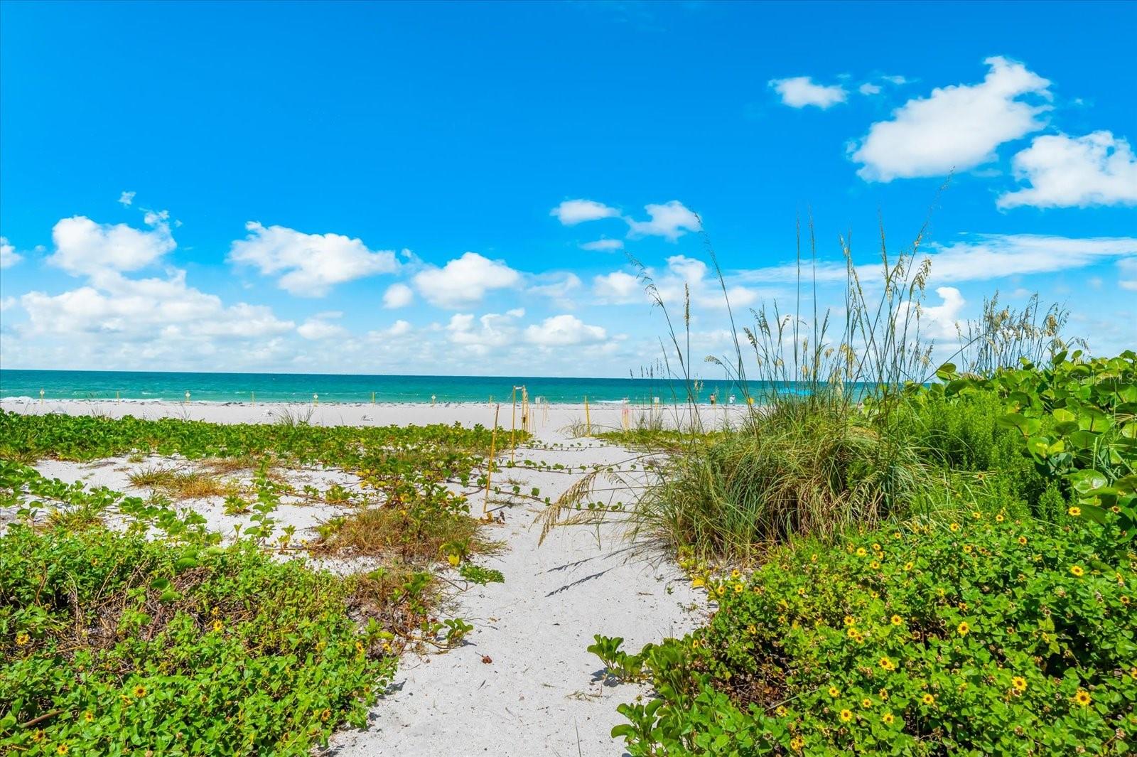 ANNA MARIA ISLAND CLUB - Residential