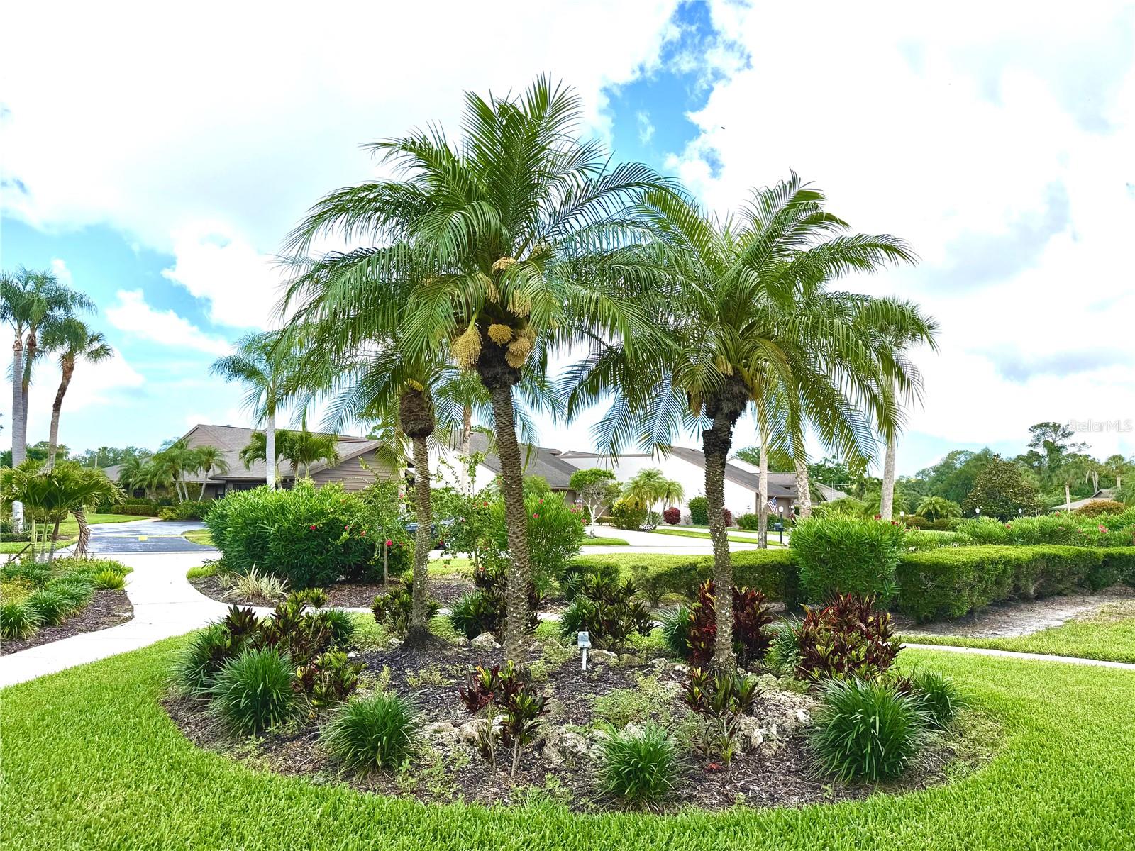 FAIRWAY SIX - Residential
