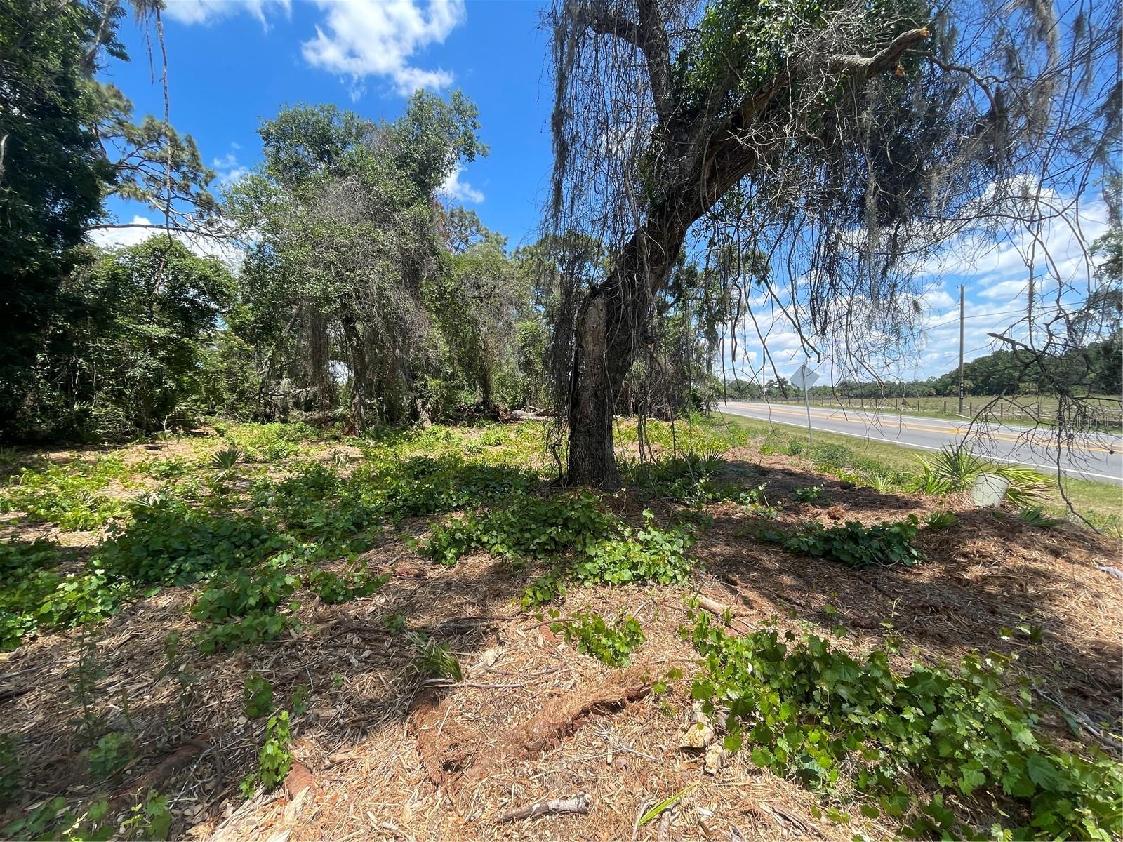 BIG TREE CAMPSITES SEC D - Land