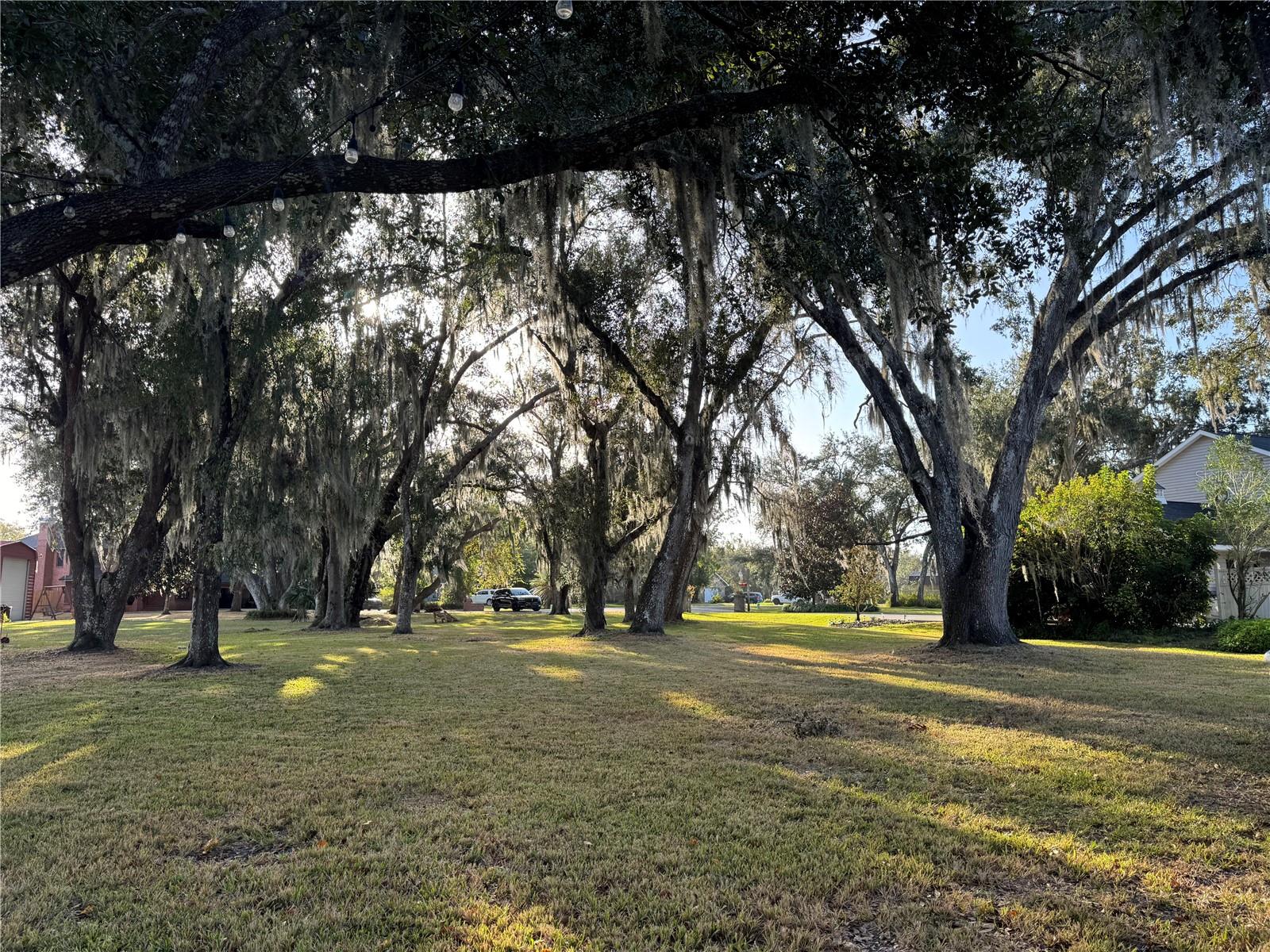 VOSS OAKS - Land