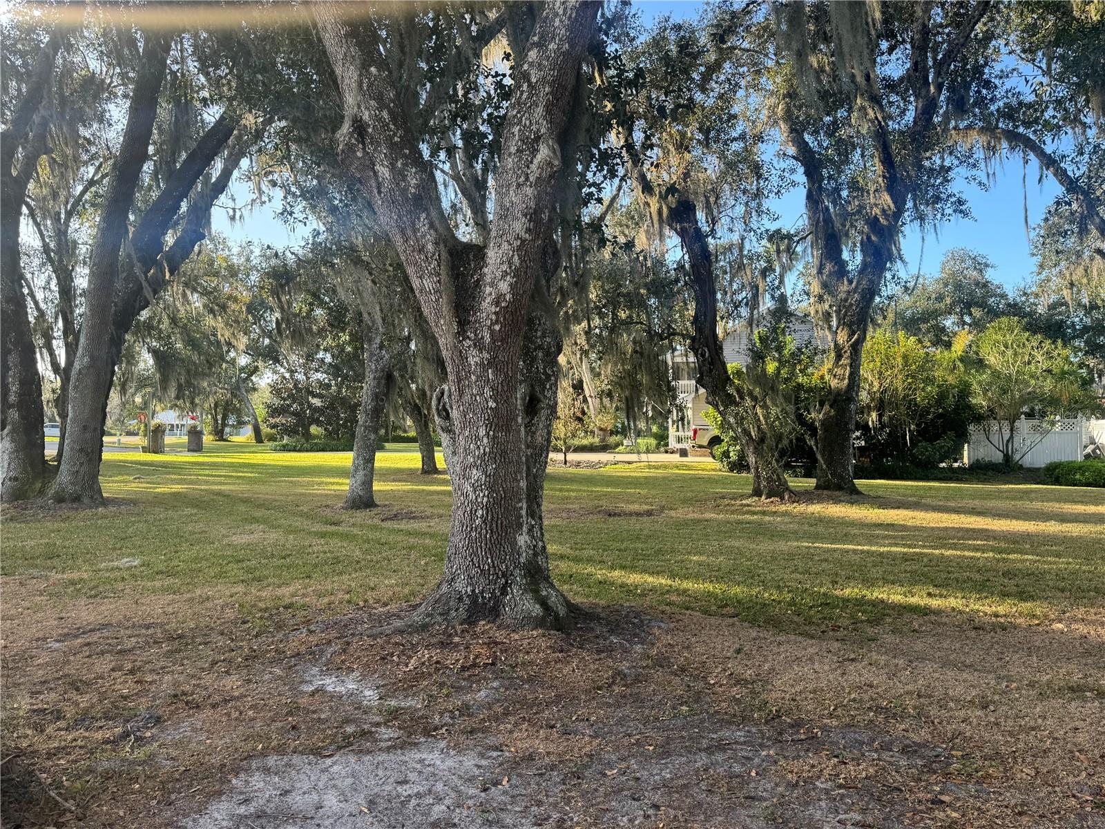 VOSS OAKS - Land