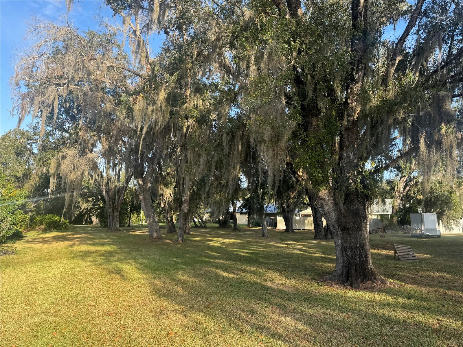 VOSS OAKS - Land