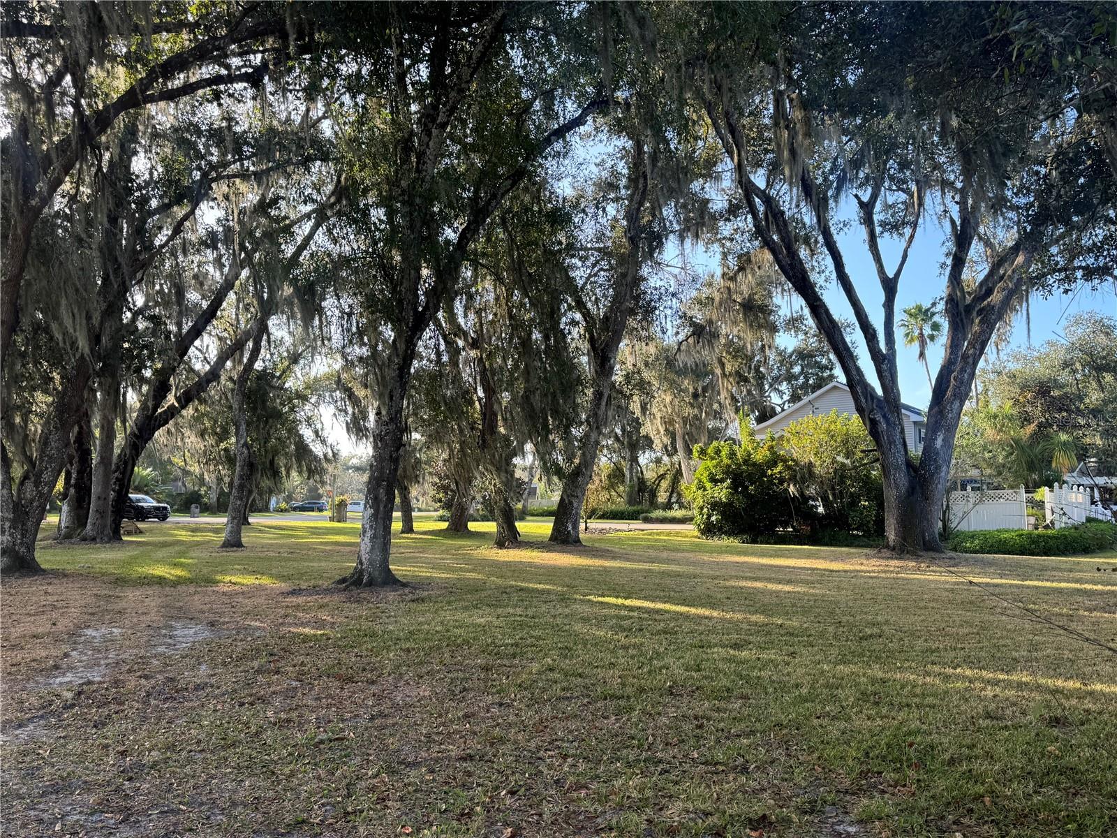 VOSS OAKS - Land