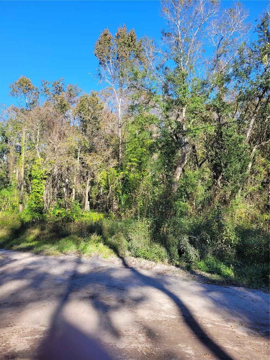 Love being in the country but want the convenience of the city?  Moon Lake Estates is the perfect place to call home. These two lots boasts mature landscaping and fruit trees on the property. Located on a private road and cul-de-sac, this property is very private.  Moon Lake Estates is located near shopping and schools.  State Road 589 is only minutes away making it convenient travel to Tampa etc.  Beaches are only 45 minutes away.  These two lots have potential and are perfect for a single family home or mobile home since it is zoned AR. Call today for a new home site tomorrow.